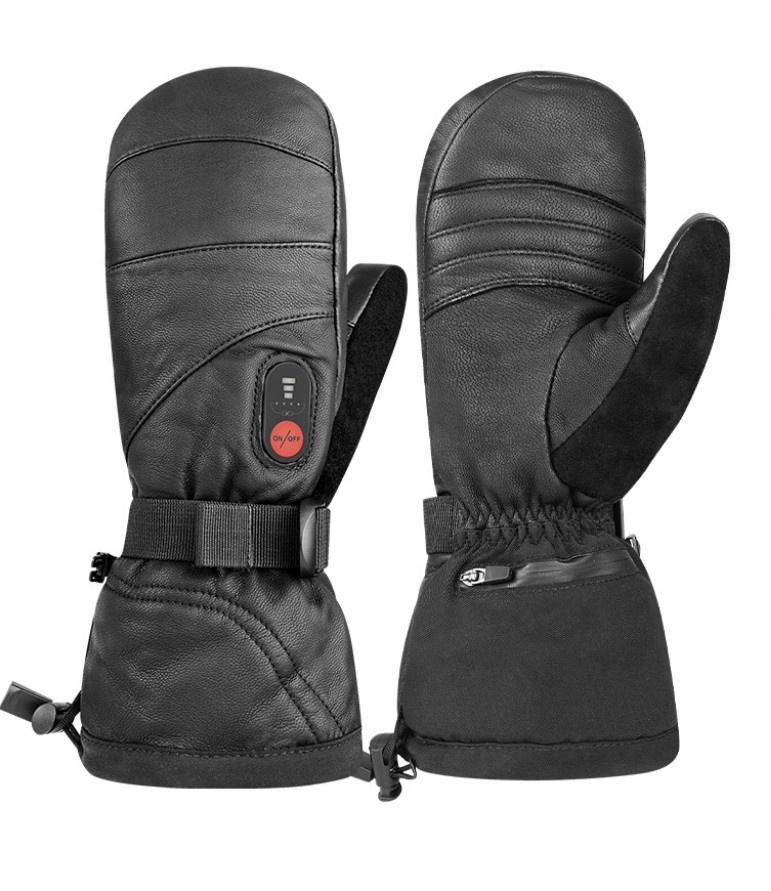 Ski Gloves 2951