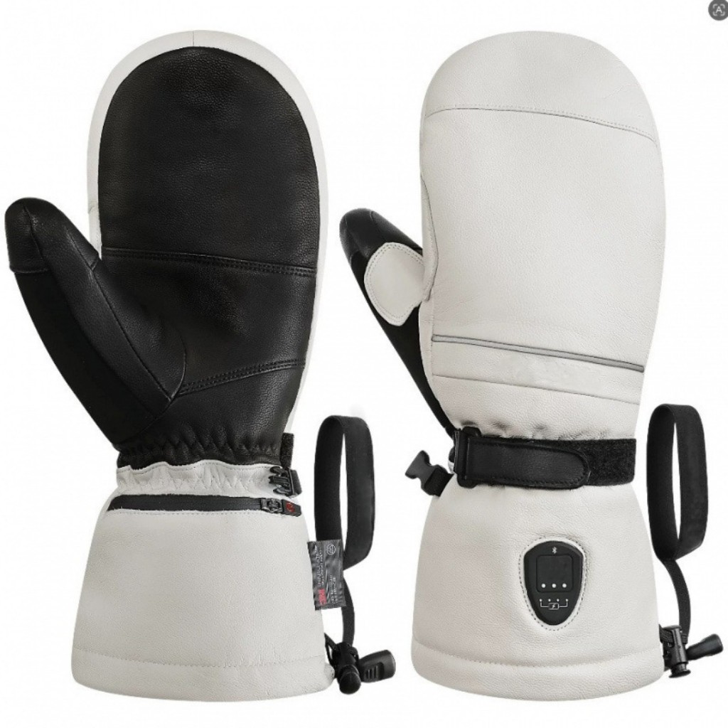 Ski Gloves 2947