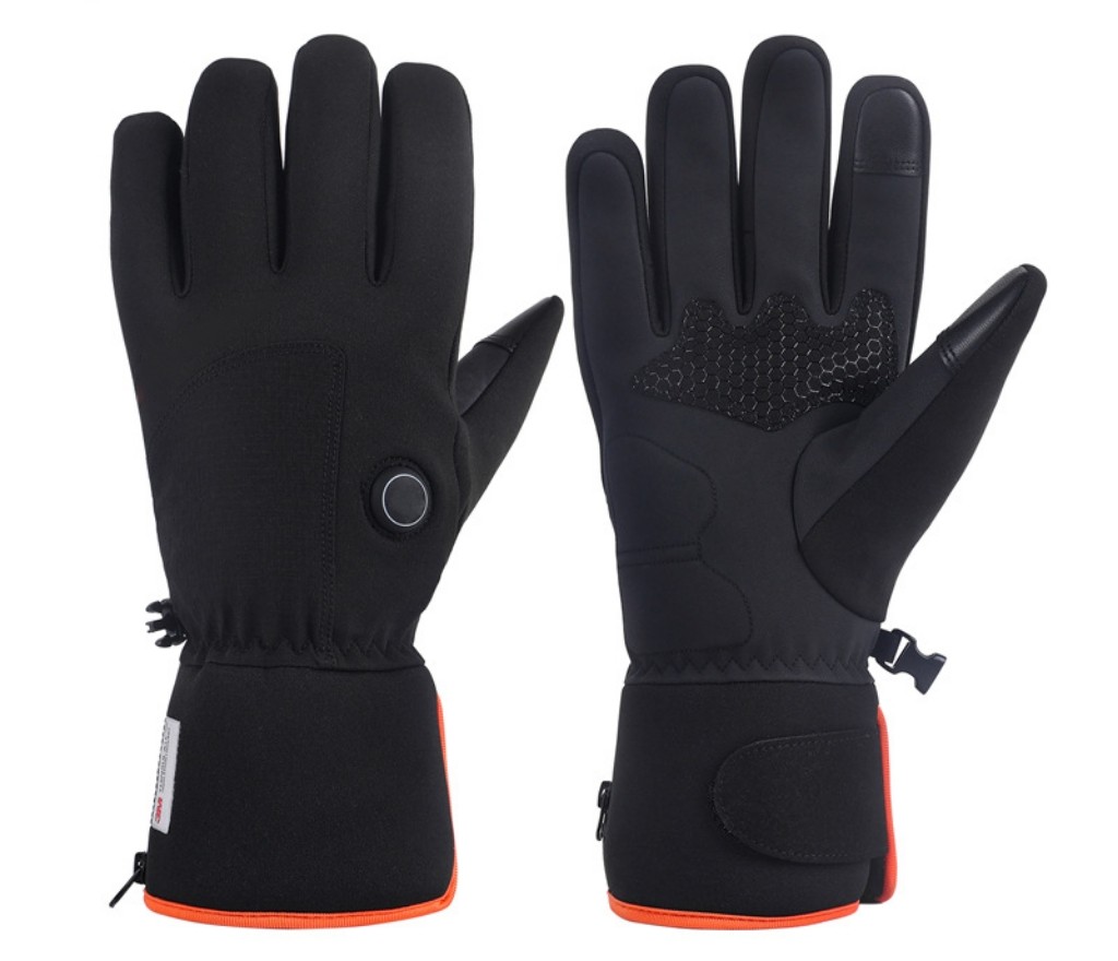 Ski Gloves 2961