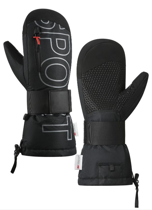 Ski Gloves 2964