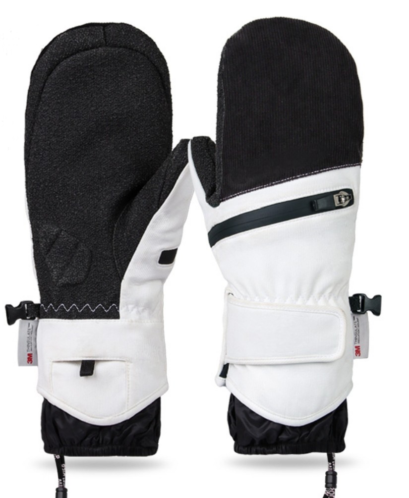 Ski Gloves 2955