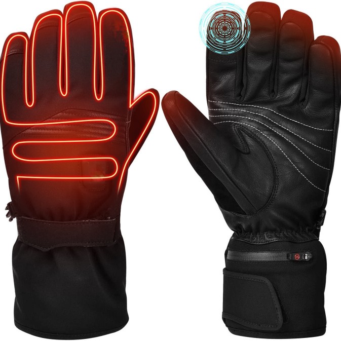 Ski Gloves 2950